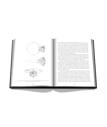 Book Tiffany &amp Co. Vision and Virtuosity (Ultimate Edition): Impossible Collection hantent personnes