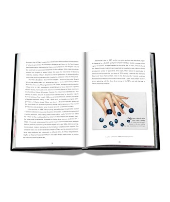 Book Tiffany &amp Co. Vision and Virtuosity (Icon Edition) En savoir plus