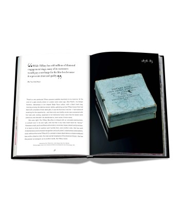 Book Tiffany &amp Co. Vision and Virtuosity (Icon Edition) En savoir plus