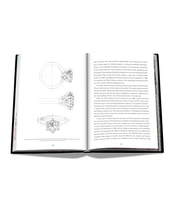 Book Tiffany &amp Co. Vision and Virtuosity (Icon Edition) En savoir plus