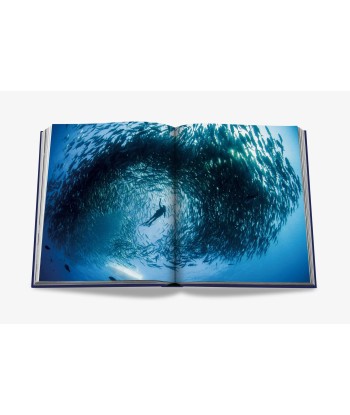 Livre Ocean Wanderlust (Waterproof Edition) l'évolution des habitudes 