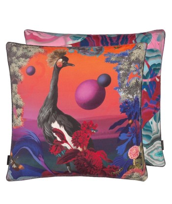 Novafrica Sunset Tangerine Cushion Economisez 