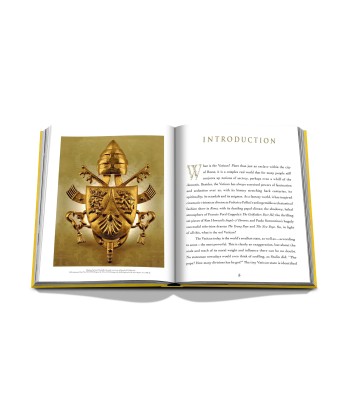 Book Vatican A Private Visit to a Secret World: Impossible Collection Amélioration de cerveau avec