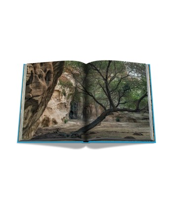 AlUla Book (2nd Edition): Impossible Collection de l' environnement