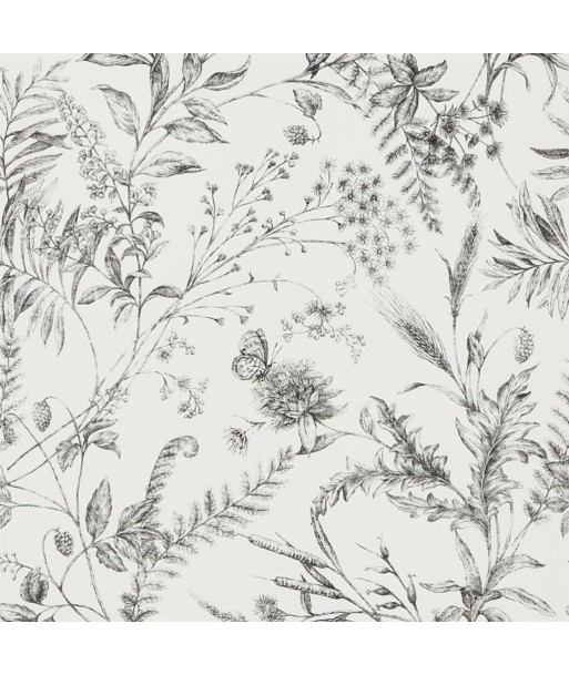 RL Fern Toile Wallpaper - Etched Black store