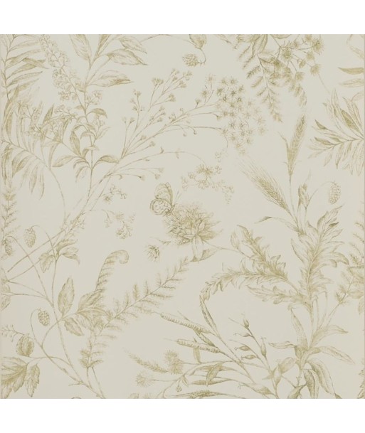 RL Fern Toile Wallpaper - Meadow livraison gratuite