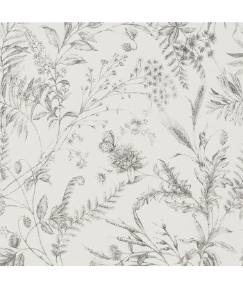 RL Fern Toile Wallpaper - Pencil sur le site 