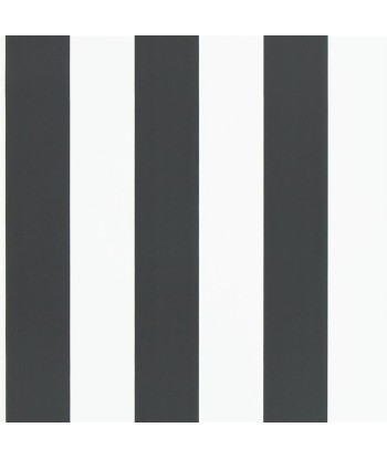 RL Spalding Stripe Wallpaper - Black / White offre 