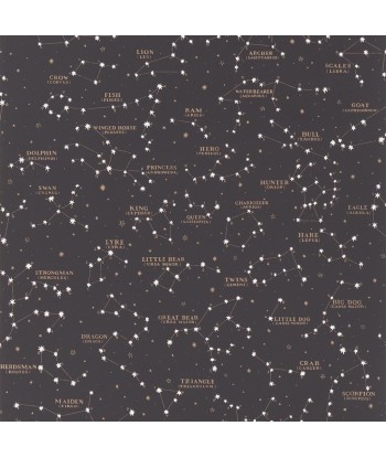 RL Starry Sky Black Wallpaper la chaussure