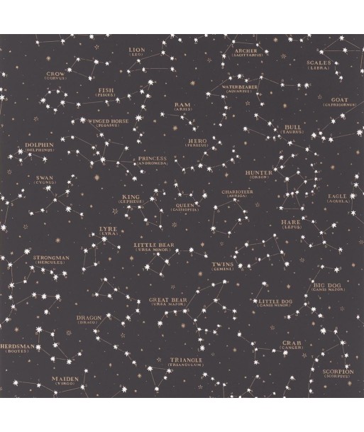 RL Starry Sky Black Wallpaper la chaussure