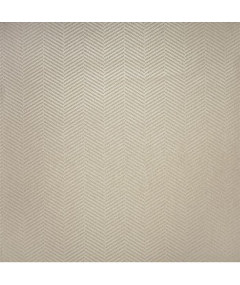 RL Swingtime Herringbone Pearl Wallpaper une grave pollution 