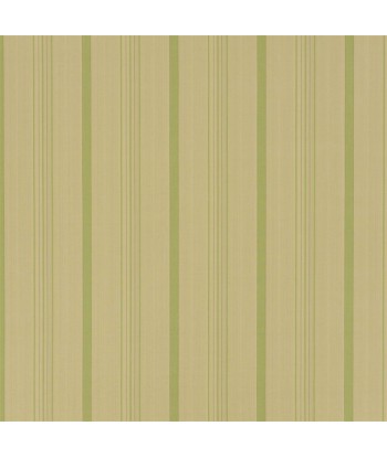 RL Averill Ticking Stripe Fabric - Fern sur le site 