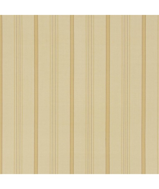 RL Averill Ticking Stripe Fabric - Maize Faites des économies