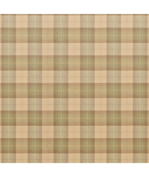 Fabric RL Barnfield Plaid Fawn sélection de produits