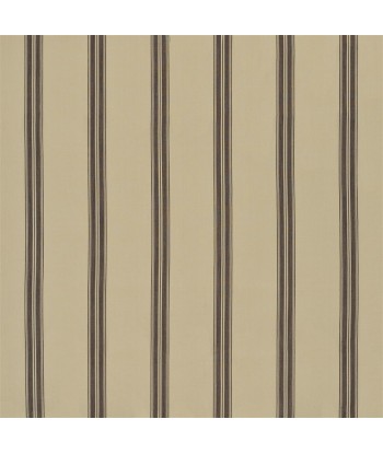 RL Boathouse Ticking Fabric - Brown la colonne vertébrale