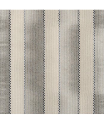 RL Carleigh Embroidered Ticking Denim Fabric de l' environnement