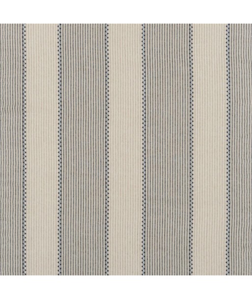 RL Carleigh Embroidered Ticking Denim Fabric de l' environnement