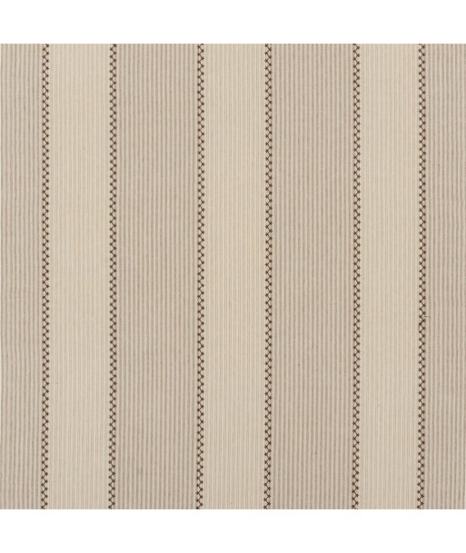 RL Carleigh Embroidered Ticking Tumbleweed Fabric Le MVP de beaucoup