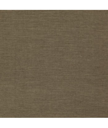 RL Corda Weave Bronze Fabric Les êtres humains sont 