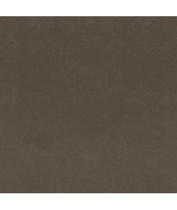 Fabric RL English Riding Velvet Cocoa Pour