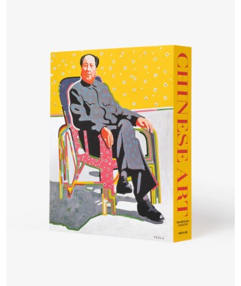 Livre Chinese Art: Impossible Collection les ctes