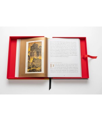 Livre Chinese Art: Impossible Collection les ctes