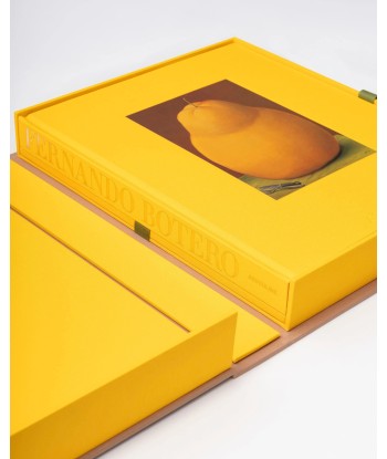 Livre Fernando Botero: Impossible Collection À commander