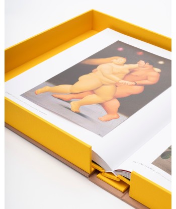 Livre Fernando Botero: Impossible Collection À commander