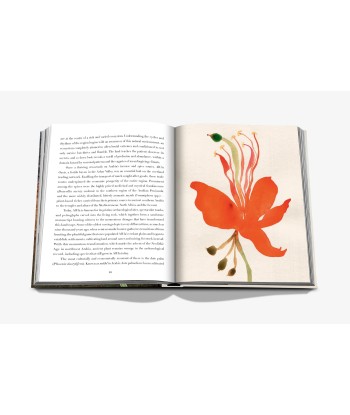 Livre AlUla Flora Toutes les collections ici