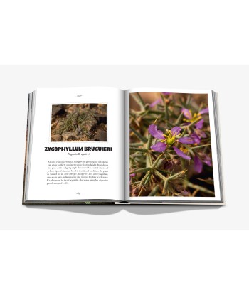 Livre AlUla Flora Toutes les collections ici