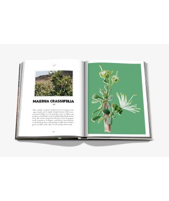 Livre AlUla Flora Toutes les collections ici