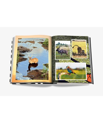 Livre African Adventures: The Greatest Safari On Earth Découvrez la collection