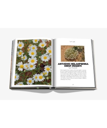 Livre AlUla Flora Toutes les collections ici