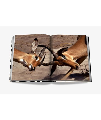 Livre African Adventures: The Greatest Safari On Earth Découvrez la collection