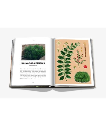 Livre AlUla Flora Toutes les collections ici