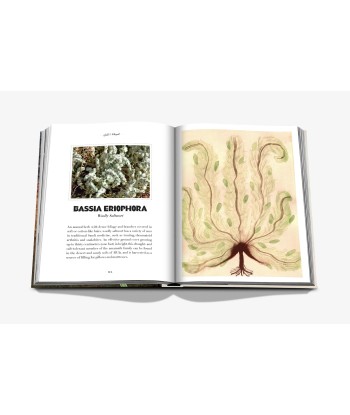 Livre AlUla Flora Toutes les collections ici