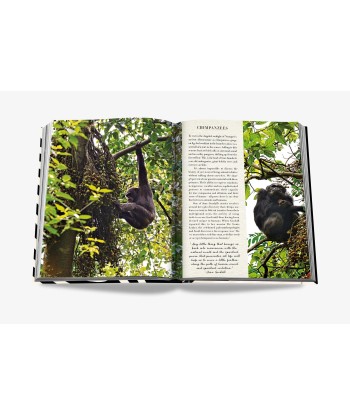 Livre African Adventures: The Greatest Safari On Earth Découvrez la collection